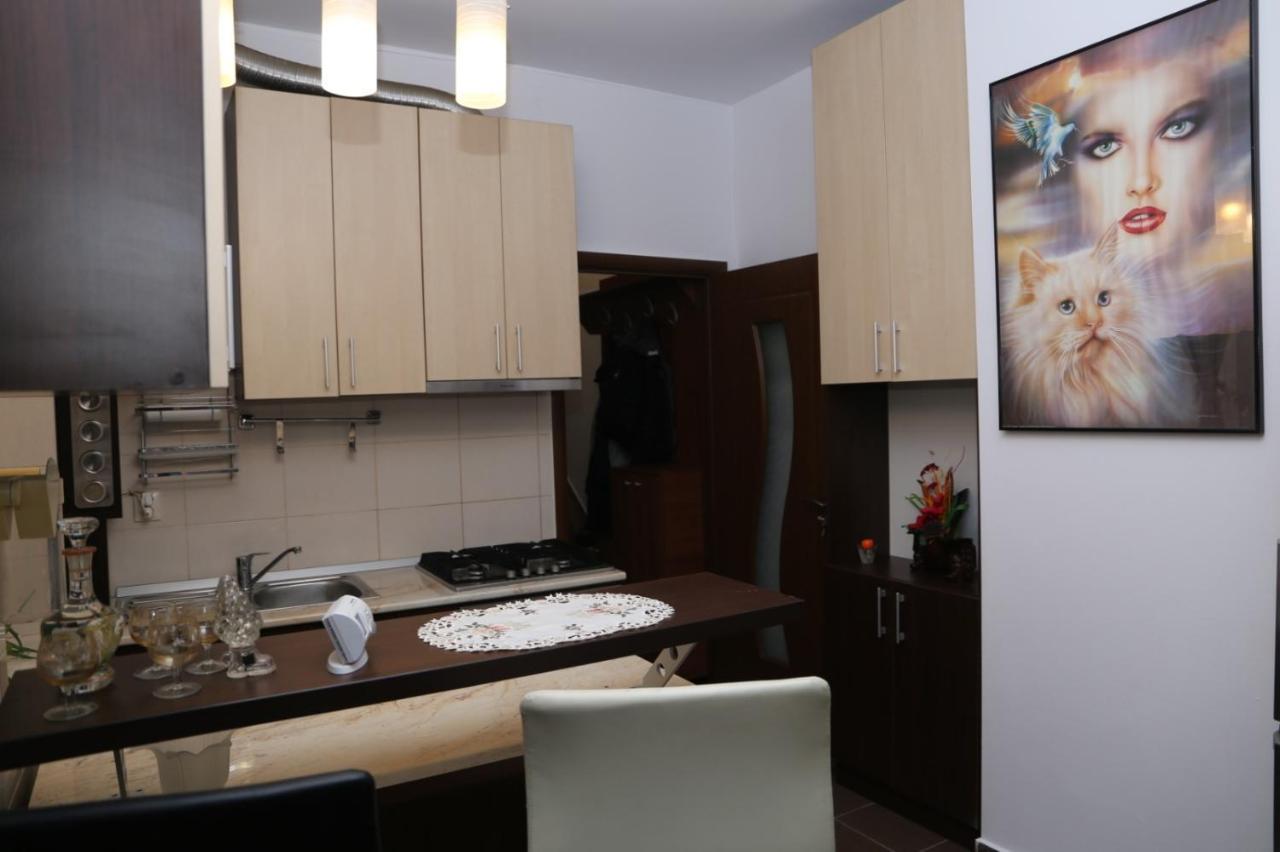 Balcescu Alina'S Apartament Sibiu Eksteriør bilde